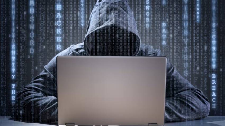 长寿区小程序定制开发：.NET的利刃与暗礁